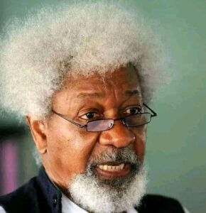 Professor Wole Soyinka Declares Readiness for Death (Full Gist) 1 1730973078809 Professor Wole Soyinka Declares Readiness for Death (Full Gist)