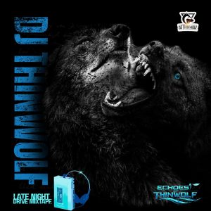 IMG 20260422 WA0000 300x300 1 DJ THINWOLF - DRIVE TIME MIX, 2026 CHILL VIBES AFROBEATS
